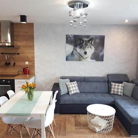 Apartamenty Pod Dzikowcem Boguszów-Gorce Dış mekan fotoğraf