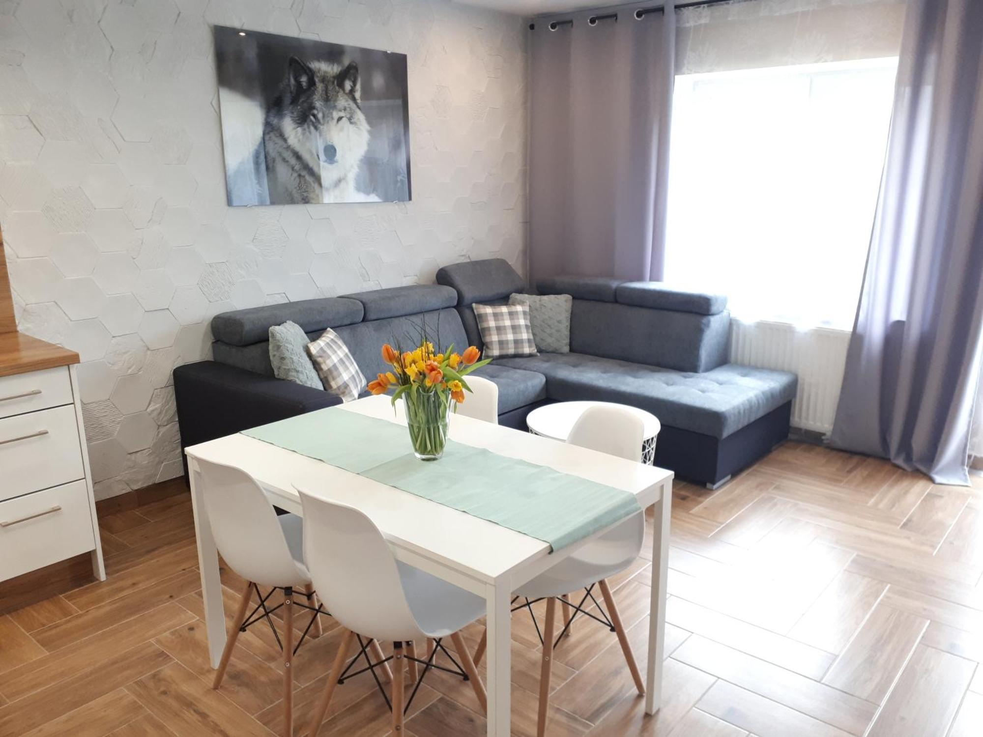Apartamenty Pod Dzikowcem Boguszów-Gorce Dış mekan fotoğraf