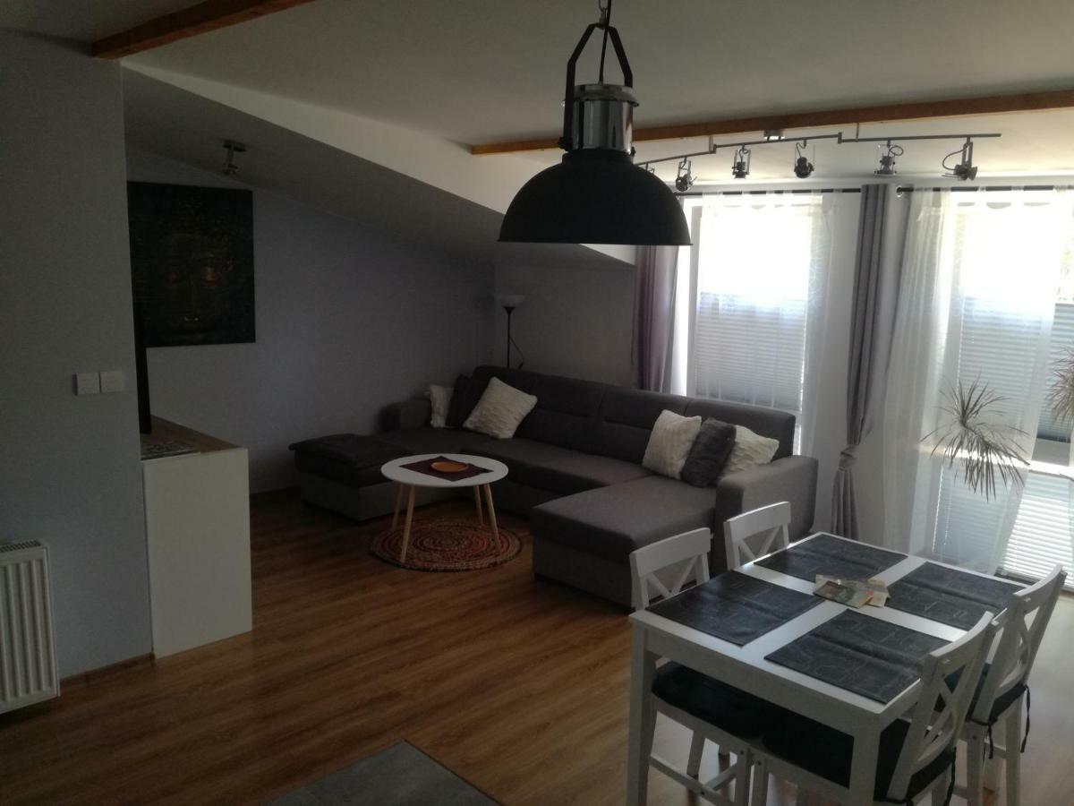 Apartamenty Pod Dzikowcem Boguszów-Gorce Dış mekan fotoğraf